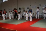 Judo wedstrijden 9-4-2016 416_800x534